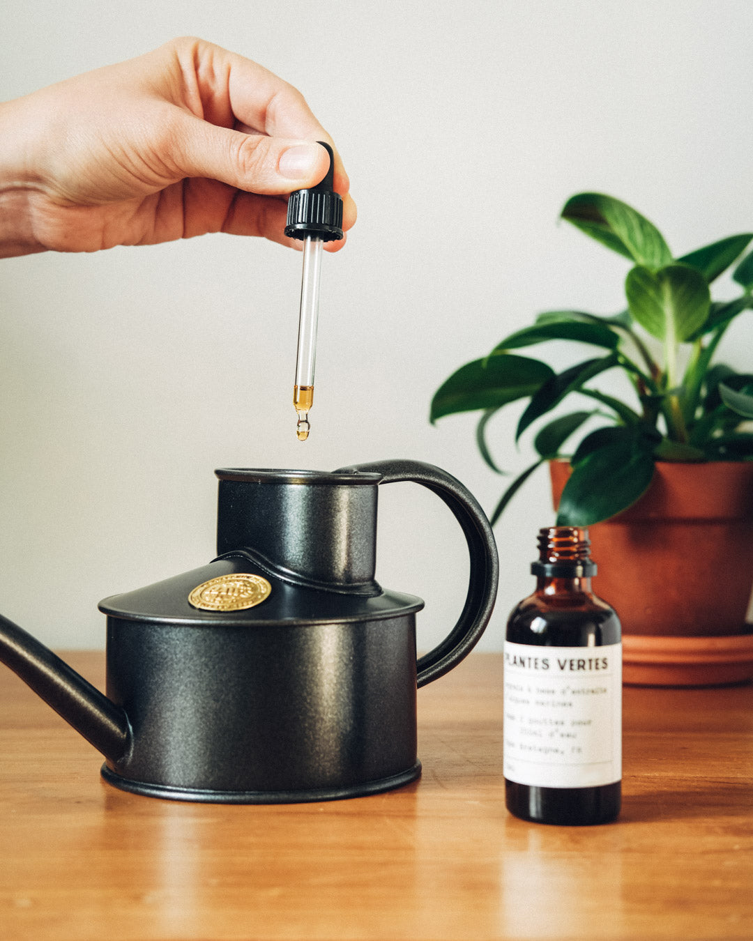 Botella de fertilizante natural para cactus y suculentas, con etiqueta informativa y fondo verde.