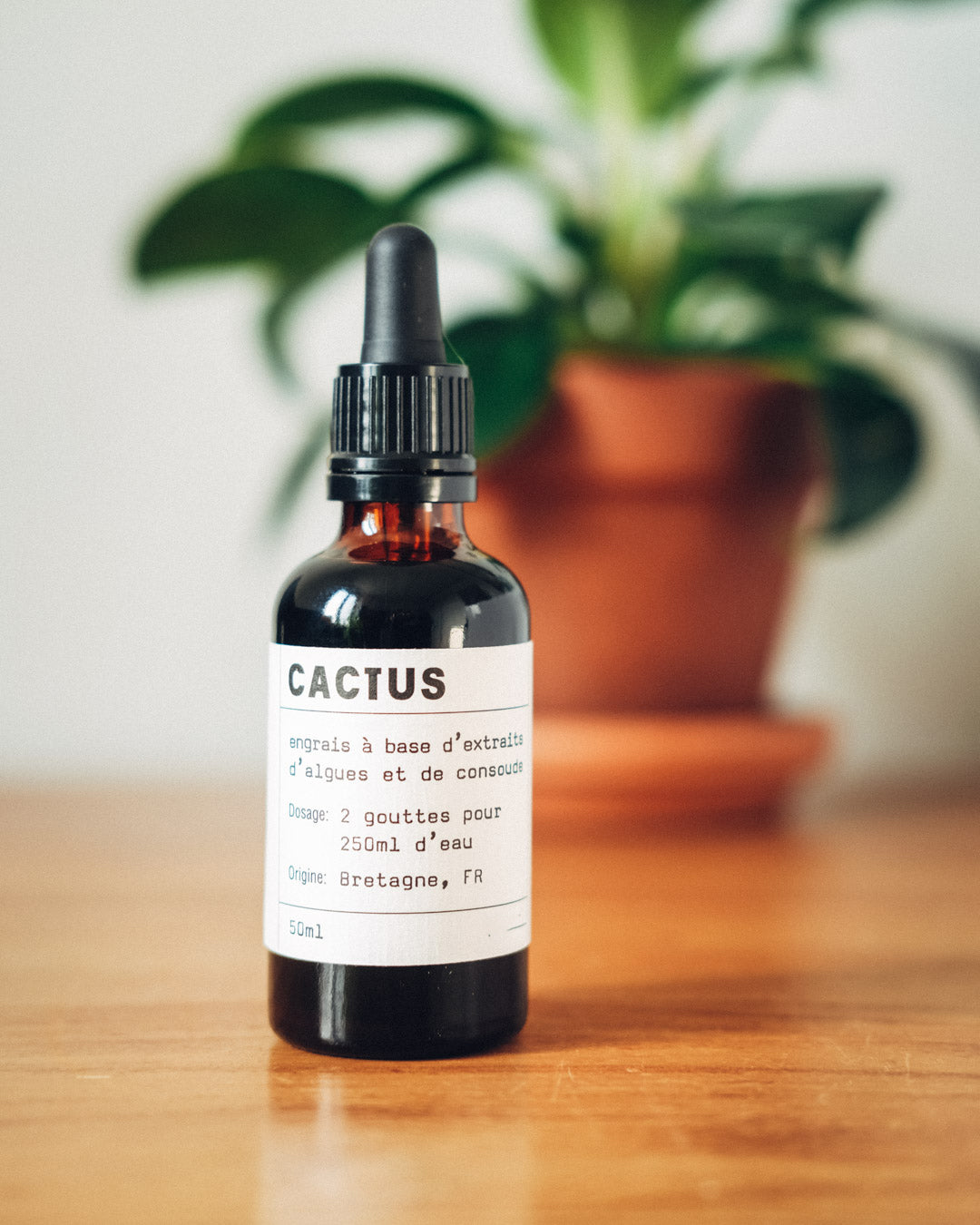 Botella de fertilizante natural para cactus y suculentas, con etiqueta informativa y fondo verde.