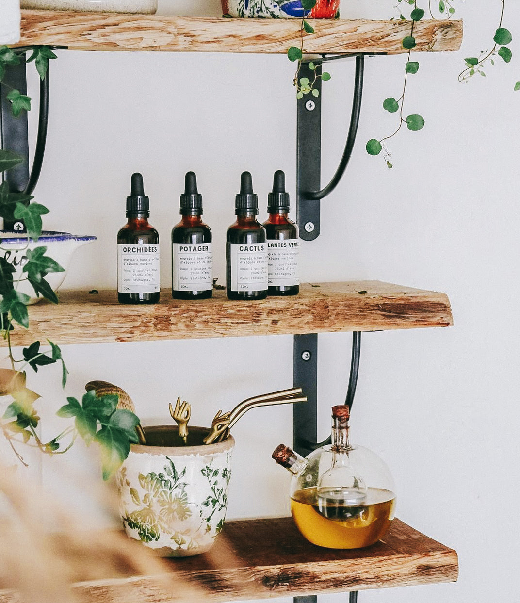 Botella de fertilizante natural para cactus y suculentas, con etiqueta informativa y fondo verde.