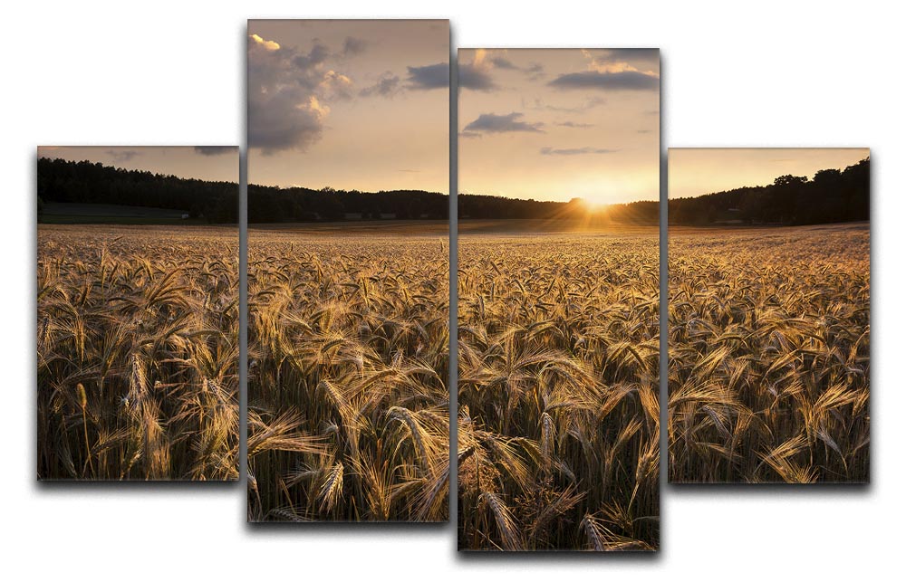 Fields Of Gold 4 Split Panel Canvas artwork featuring a vibrant golden landscape divided into four panels.
