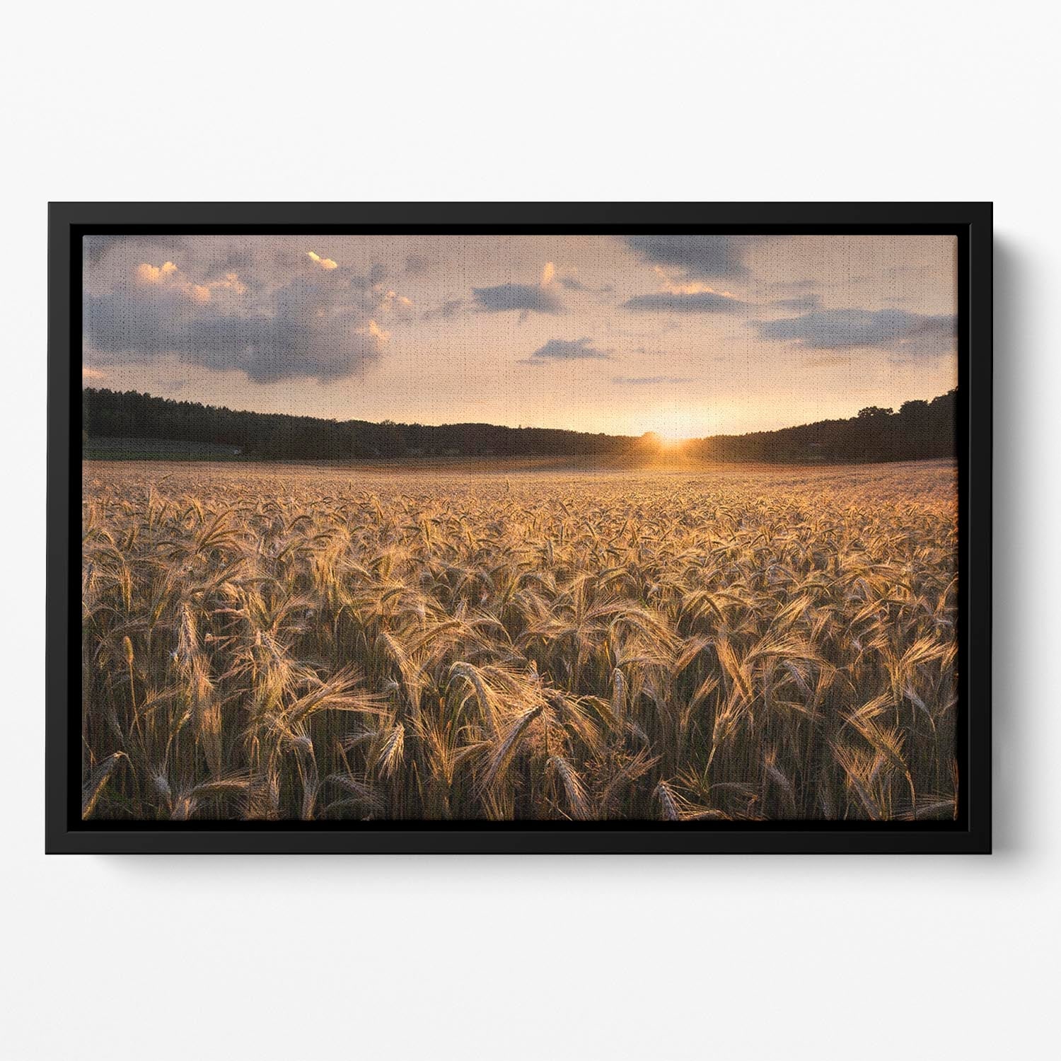 Fields Of Gold Floating Framed Canvas featuring vibrant abstract design in a handcrafted wooden frame, perfect for modern home decor.