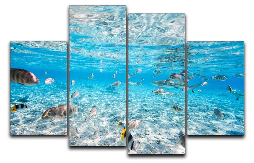 A vibrant 4-split canvas artwork featuring fish and black-tipped sharks, showcasing ocean life in stunning detail.