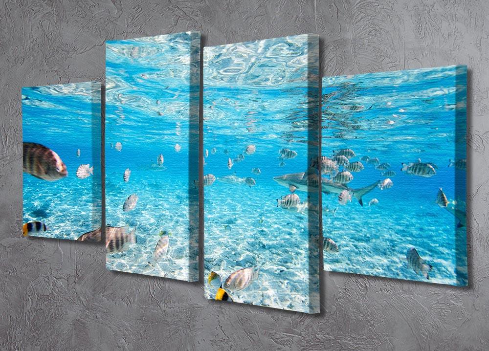 A vibrant 4-split canvas artwork featuring fish and black-tipped sharks, showcasing ocean life in stunning detail.