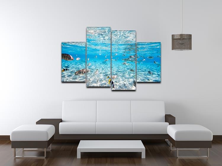 A vibrant 4-split canvas artwork featuring fish and black-tipped sharks, showcasing ocean life in stunning detail.