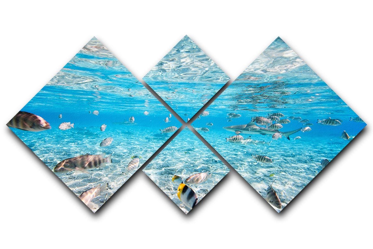 A vibrant 4-square canvas artwork featuring fish and black-tipped sharks, showcasing marine life in stunning detail.