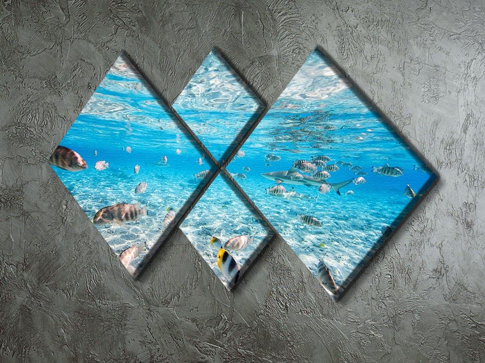 A vibrant 4-square canvas artwork featuring fish and black-tipped sharks, showcasing marine life in stunning detail.