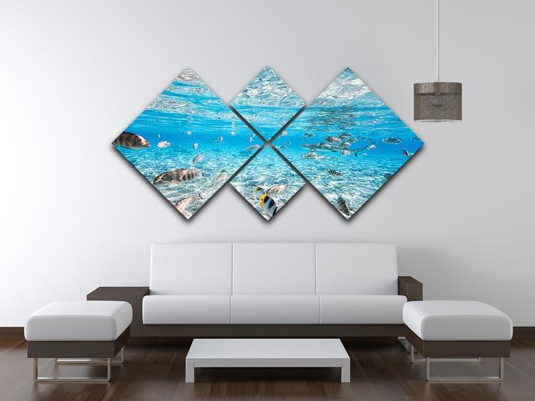A vibrant 4-square canvas artwork featuring fish and black-tipped sharks, showcasing marine life in stunning detail.