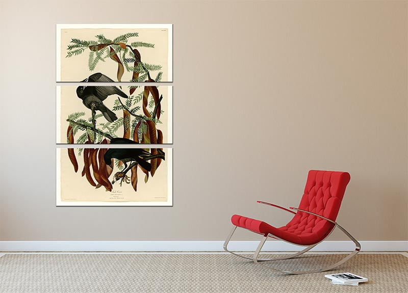 Fish Crow by Audubon 3 Split Panel Canvas Print showcasing elegant bird artwork in a modern design.