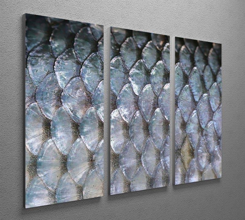 A stunning 3-panel canvas print featuring fish scales design, showcasing vibrant colors and intricate details, perfect for home decor.