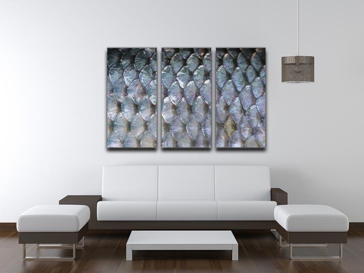 A stunning 3-panel canvas print featuring fish scales design, showcasing vibrant colors and intricate details, perfect for home decor.