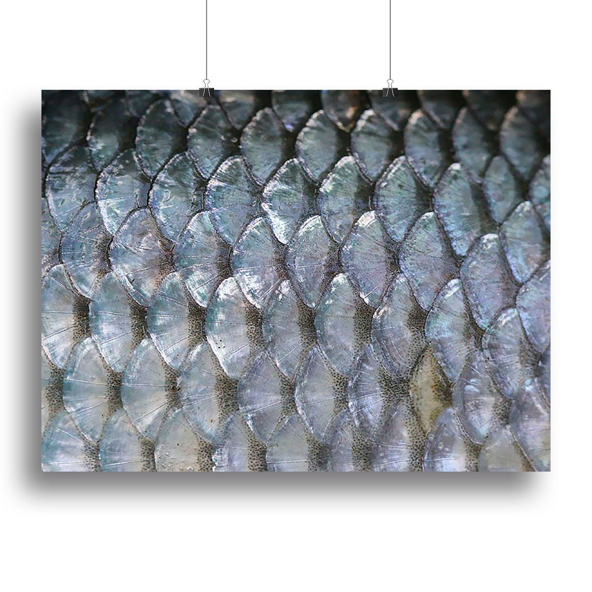 A beautiful canvas print featuring intricate fish scales design, showcasing vibrant colors and detailed textures.