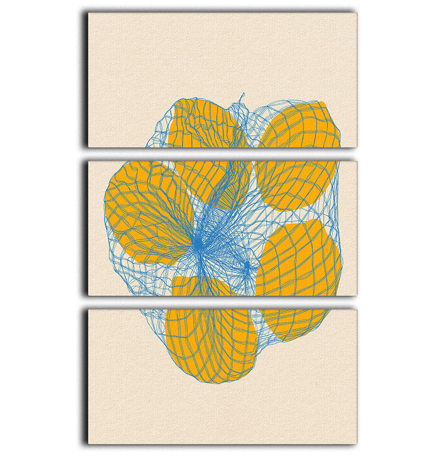 Three-panel canvas print featuring five lemons in a net bag, showcasing vibrant colors and intricate details.