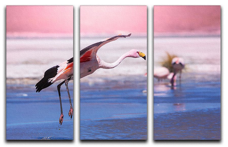 A vibrant 3-panel canvas print featuring a flamingo in Bolivia, showcasing rich colors and intricate details.