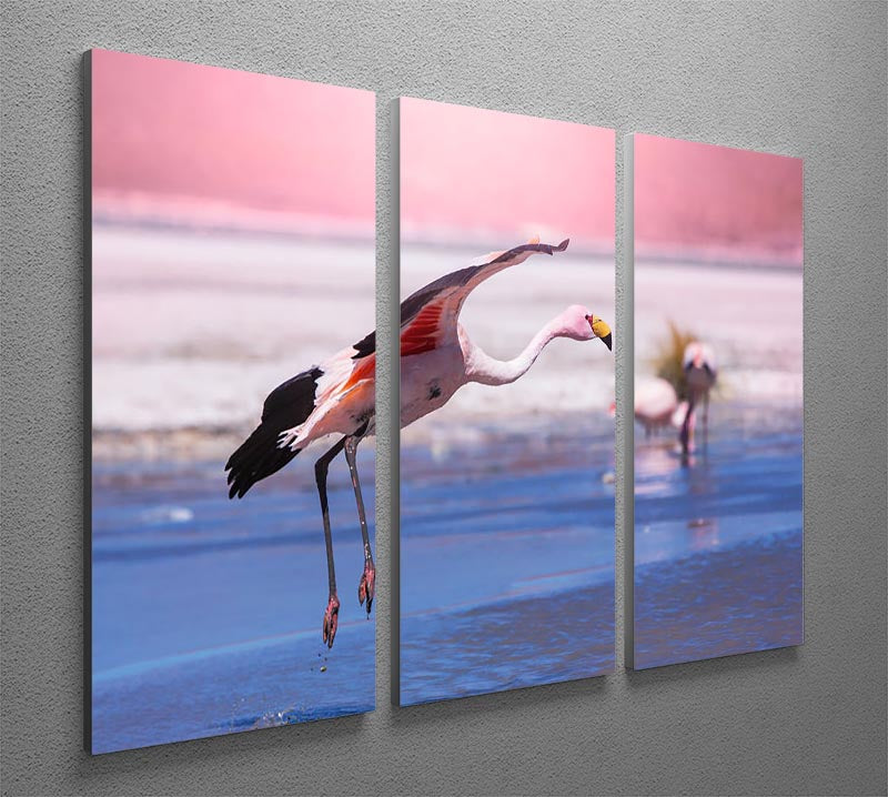 A vibrant 3-panel canvas print featuring a flamingo in Bolivia, showcasing rich colors and intricate details.