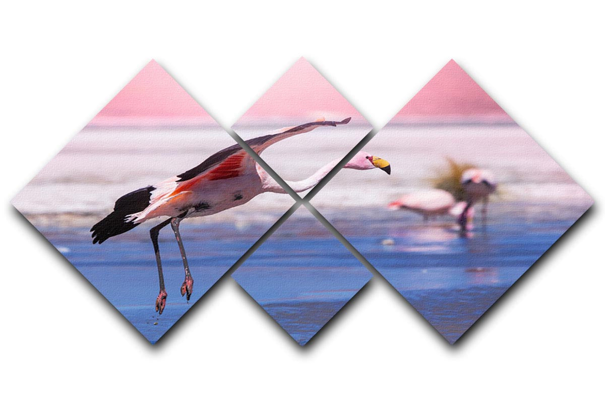 A vibrant multi-panel canvas artwork featuring flamingos in Bolivia, divided into four equal square sections, showcasing stunning colors and details.