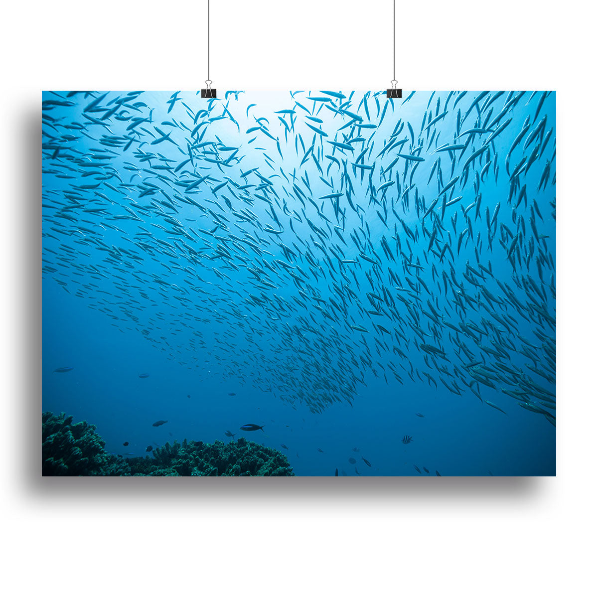A vibrant canvas print featuring a flowing flock of fish, showcasing intricate details and colors, perfect for home or office decor.