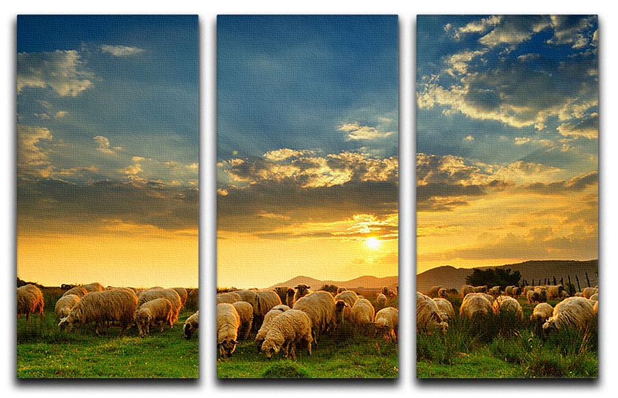 A beautiful 3-panel canvas print depicting a flock of sheep grazing on a hill during sunset, showcasing vibrant colors and serene nature.