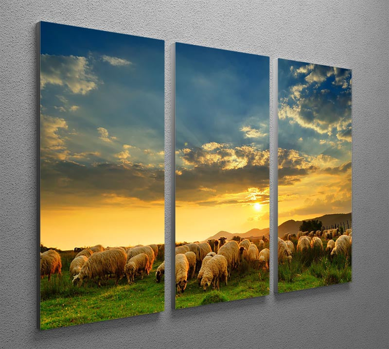 A beautiful 3-panel canvas print depicting a flock of sheep grazing on a hill during sunset, showcasing vibrant colors and serene nature.