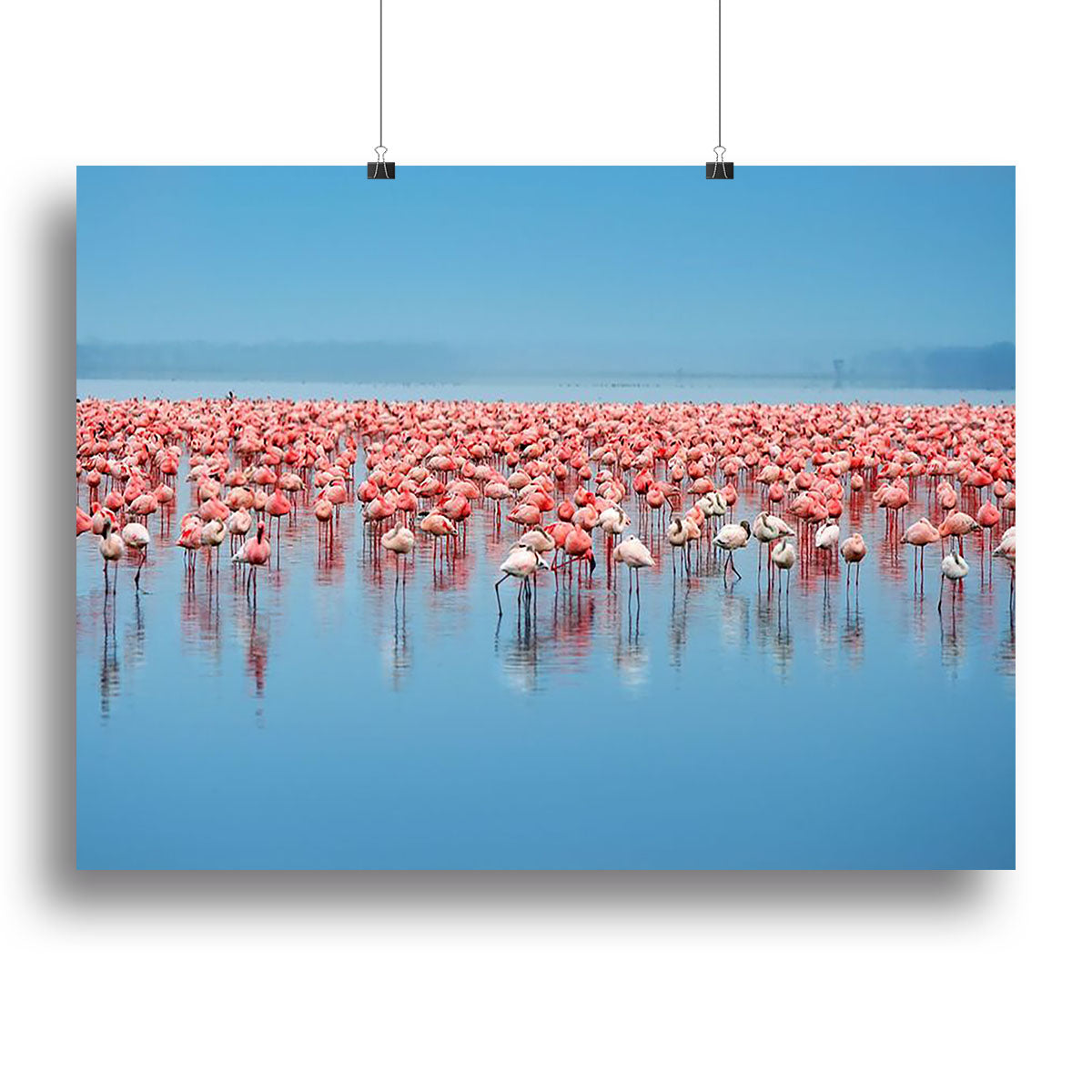 A vibrant canvas print featuring a flock of flamingos in a serene setting, showcasing their elegant poses and beautiful colors.