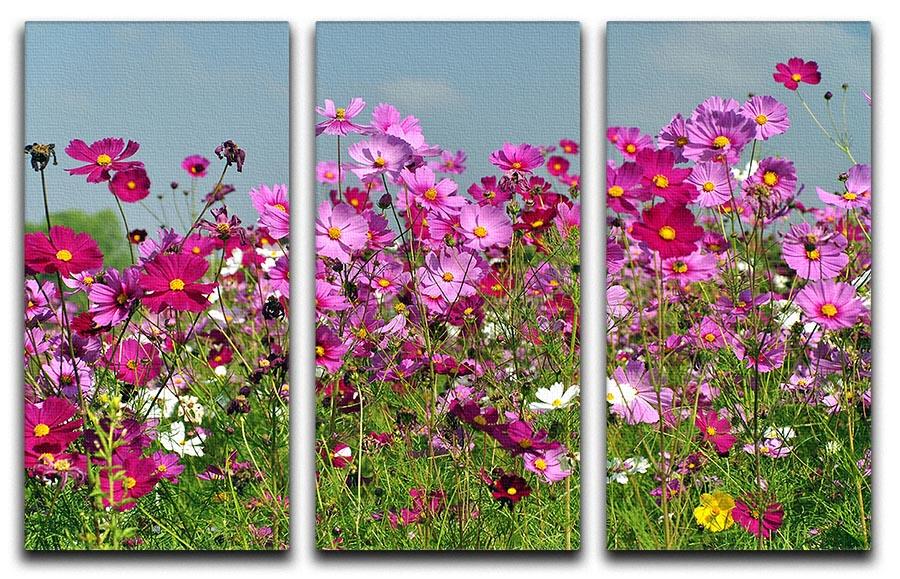 A beautiful 3-panel canvas print featuring a vibrant flower field under a clear blue sky, perfect for home decor.