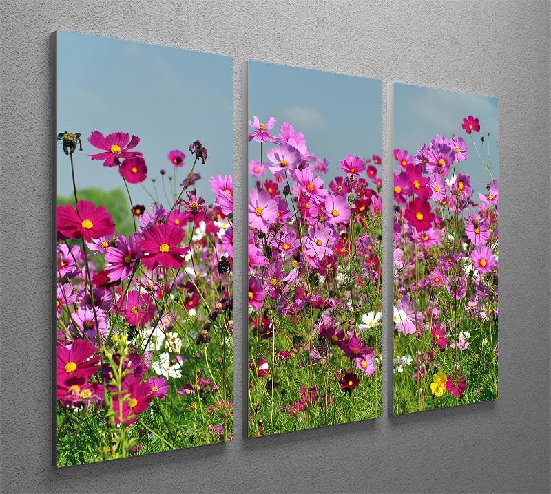 A beautiful 3-panel canvas print featuring a vibrant flower field under a clear blue sky, perfect for home decor.