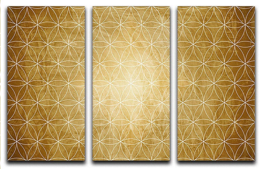 Flower Geometry 3 Split Panel Canvas Print featuring intricate floral patterns and geometric shapes, ideal for modern decor.