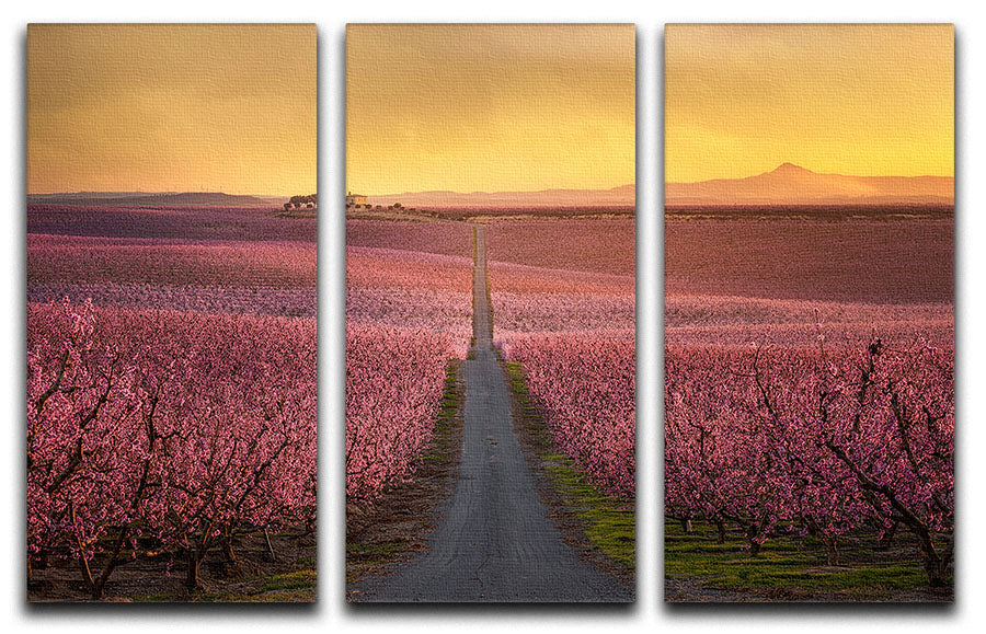 A beautiful 3-panel canvas print featuring vibrant flowering designs, perfect for home decor.