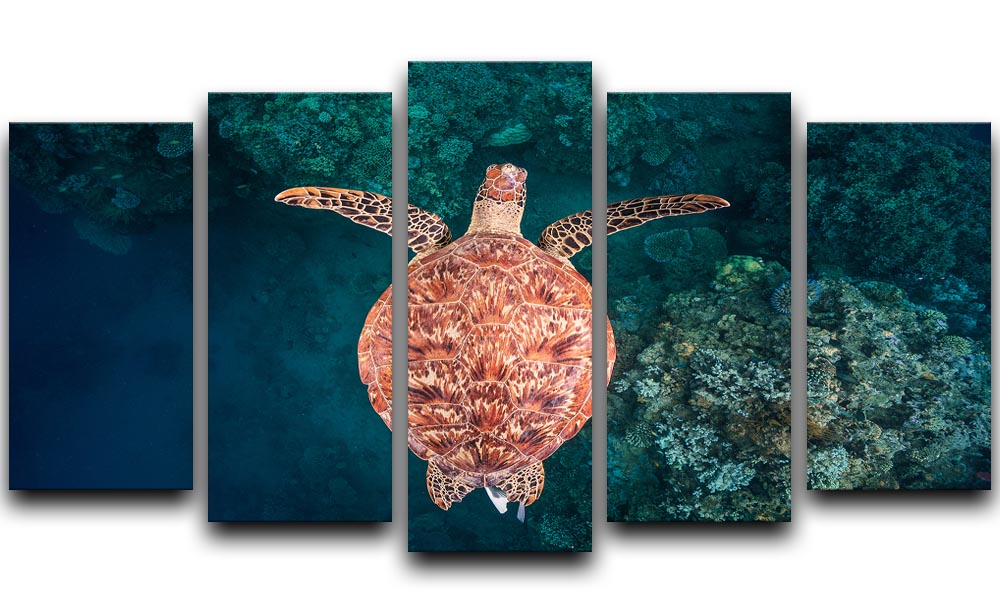 A stunning 5-panel canvas artwork depicting a vibrant reef scene, showcasing colorful marine life and coral formations.