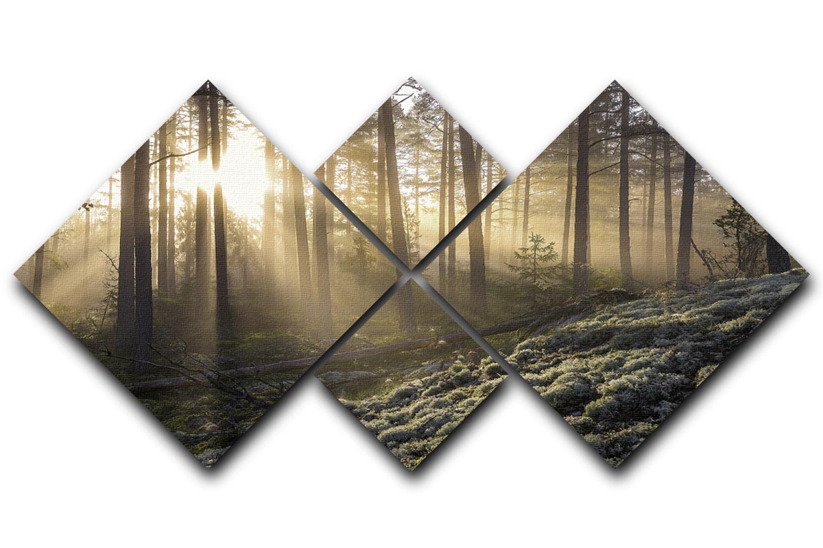 A captivating 4-square canvas artwork depicting a foggy forest with white moss in the foreground, creating a serene and enchanting atmosphere.
