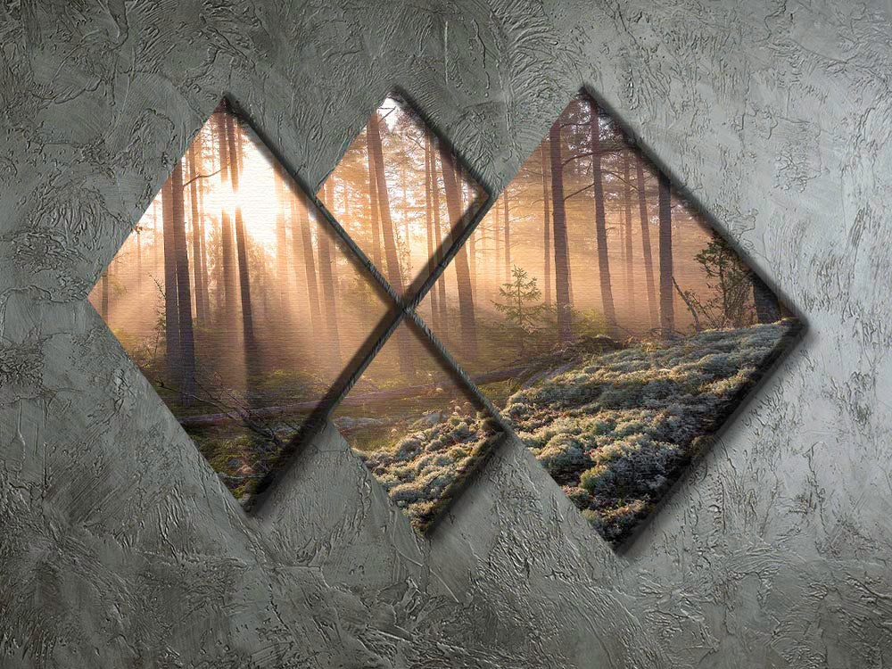 A captivating 4-square canvas artwork depicting a foggy forest with white moss in the foreground, creating a serene and enchanting atmosphere.