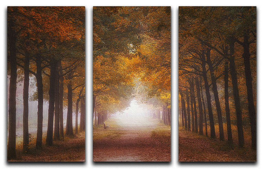 Foggy Autumn Dream 3 Split Panel Canvas Print featuring serene autumn landscape in three panels.