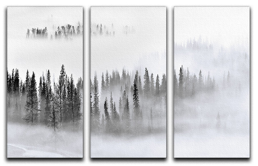 Foggy Forest 3 Split Panel Canvas Print showcasing a serene misty forest scene across three panels.