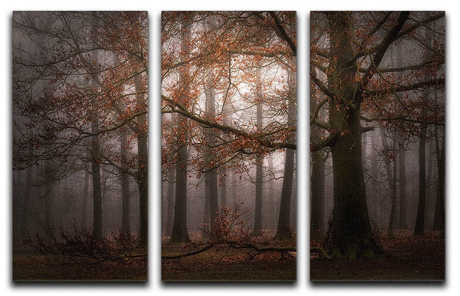 Foggy Memory Of The Past 3 Split Panel Canvas Print featuring three panels with a captivating design, perfect for home decor.