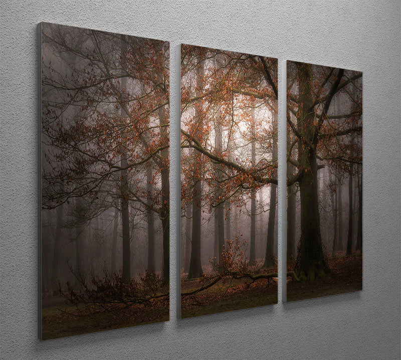 Foggy Memory Of The Past 3 Split Panel Canvas Print featuring three panels with a captivating design, perfect for home decor.