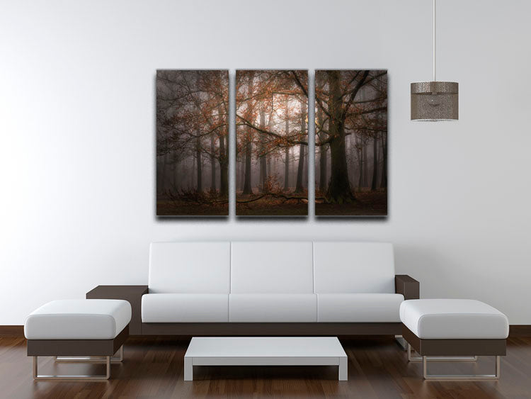 Foggy Memory Of The Past 3 Split Panel Canvas Print featuring three panels with a captivating design, perfect for home decor.