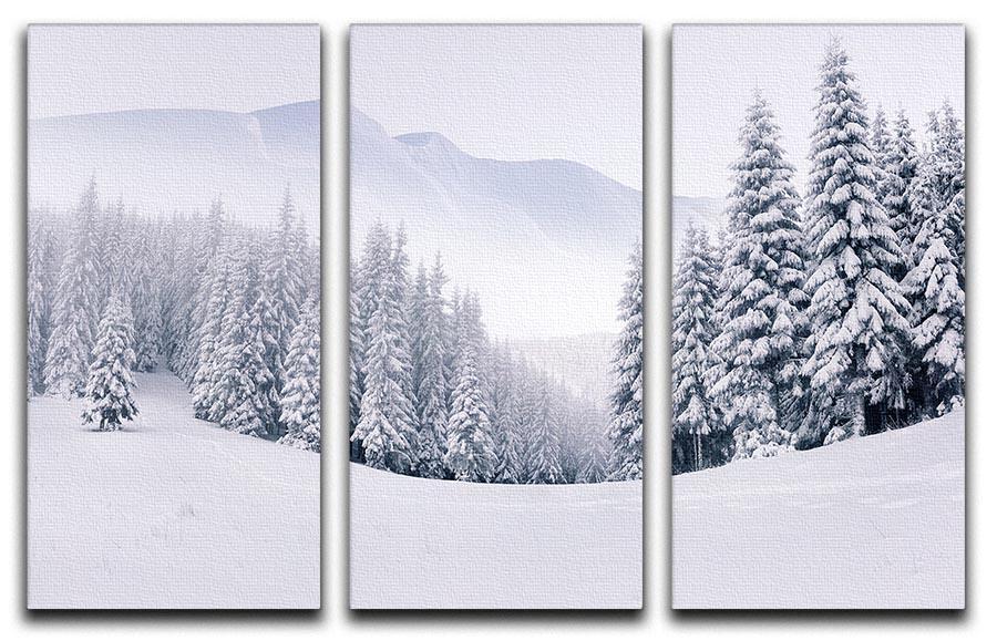 A stunning foggy winter landscape depicted in a 3-panel canvas print, showcasing serene trees and soft mist.