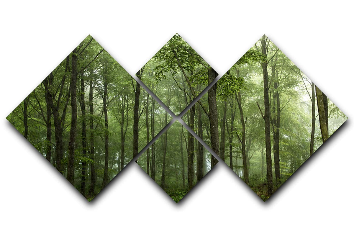 Forest 4 Square Multi Panel Canvas artwork featuring serene woodland imagery divided into four equal panels.