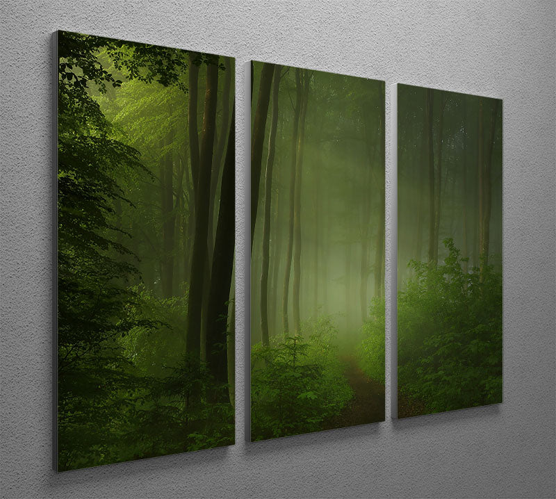 Forest Morning 3 Split Panel Canvas Print showcasing a serene forest landscape in three panels, enhancing any room's decor.