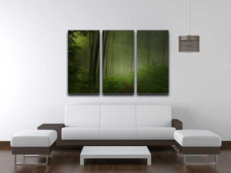 Forest Morning 3 Split Panel Canvas Print showcasing a serene forest landscape in three panels, enhancing any room's decor.