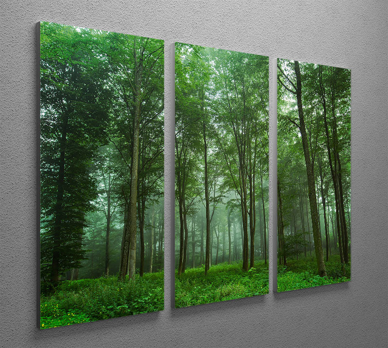 Forest View Panel Spocket | Dropship | Forest View 3 Split Panel Canvas Print