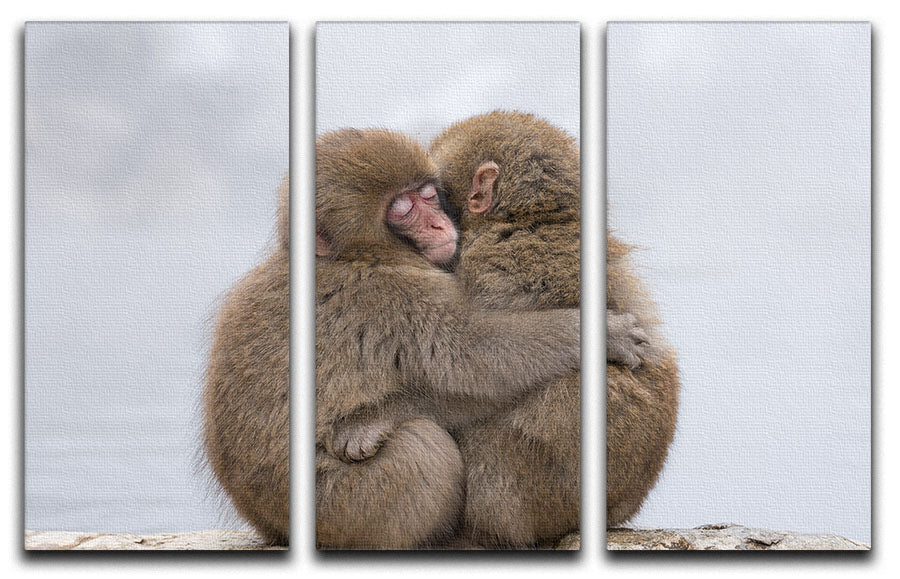 Forever Friends 3 Split Panel Canvas Print featuring three high-quality canvases with a cohesive design, perfect for home decor.