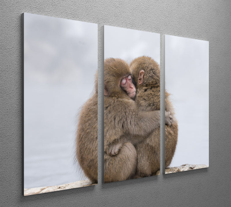 Forever Friends 3 Split Panel Canvas Print featuring three high-quality canvases with a cohesive design, perfect for home decor.