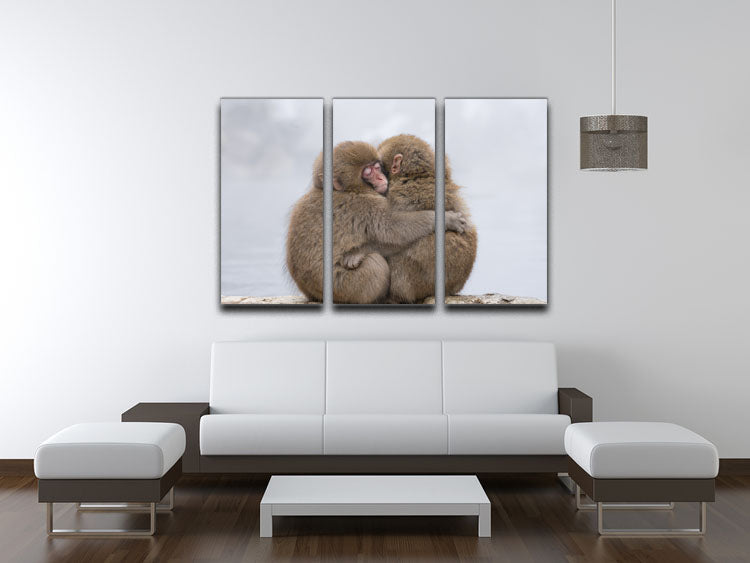 Forever Friends 3 Split Panel Canvas Print featuring three high-quality canvases with a cohesive design, perfect for home decor.