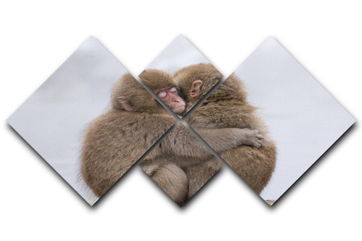 Forever Friends 4 Square Multi Panel Canvas artwork featuring four equal square sections with a harmonious design.