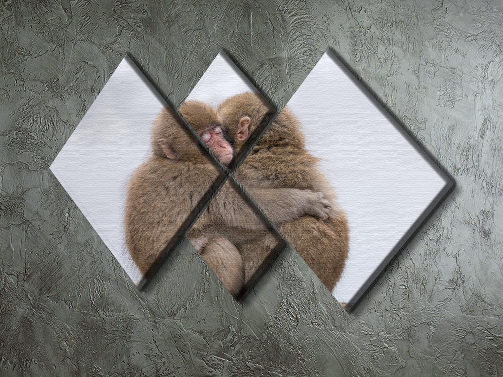 Forever Friends 4 Square Multi Panel Canvas artwork featuring four equal square sections with a harmonious design.