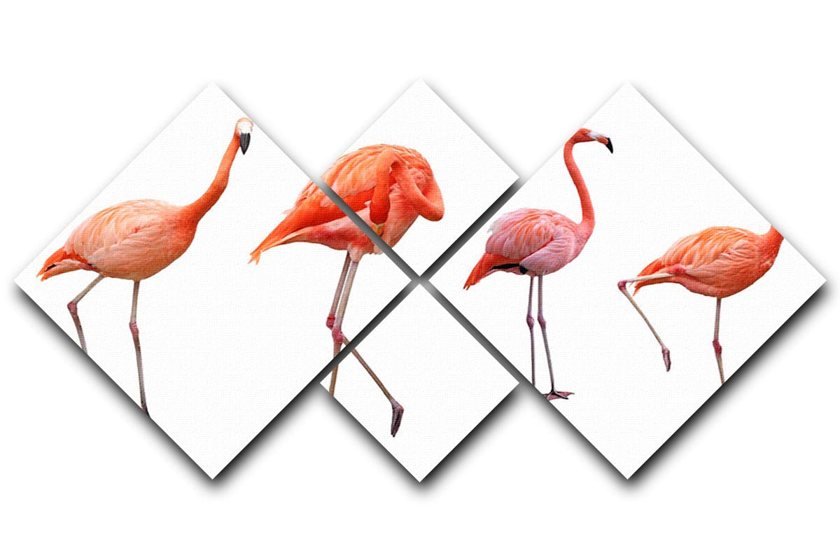 Four pink flamingo birds displayed on a white background in a 4-square multi-panel canvas arrangement.