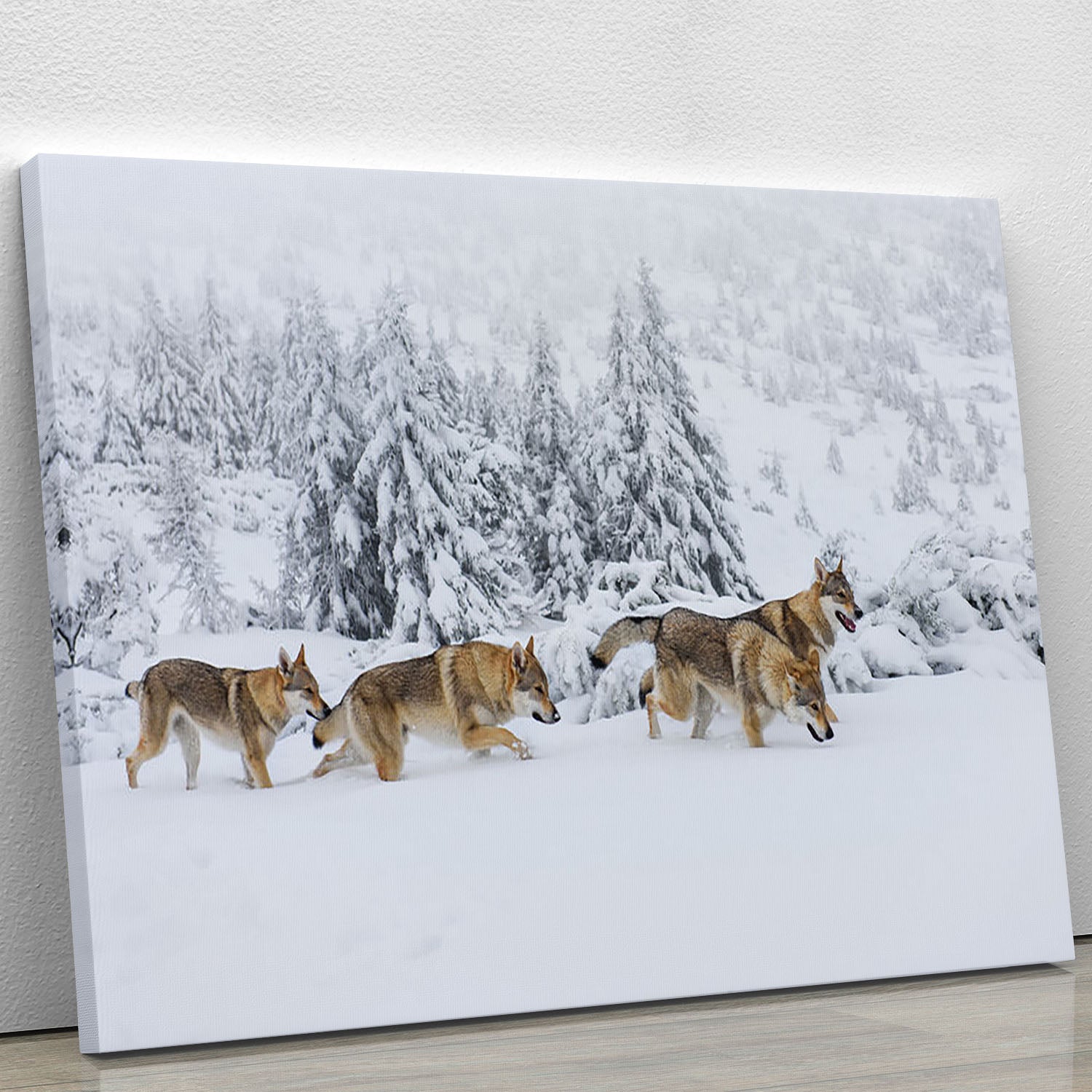 Canvas print of four wolves in fresh snow, showcasing their beauty in a serene mountain landscape.