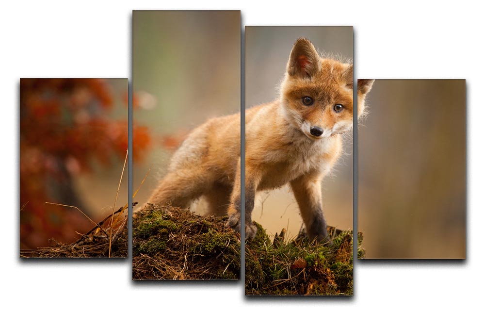 Fox 4 Split Panel Canvas artwork featuring four equal sections, creating a cohesive and dynamic design for home decor.