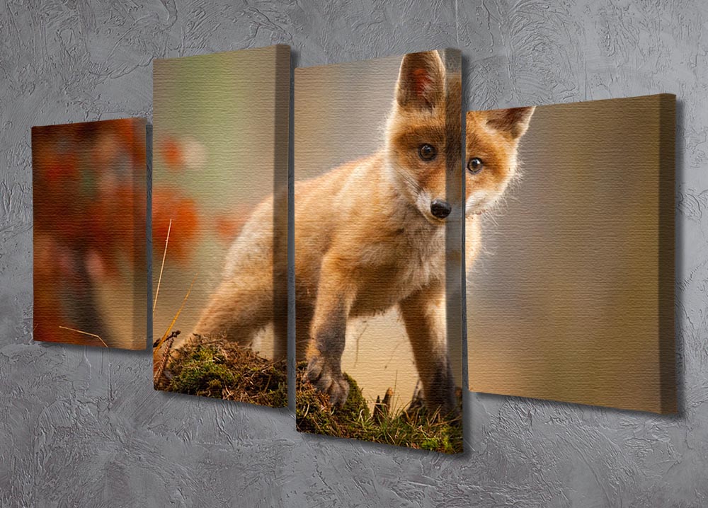 Fox 4 Split Panel Canvas artwork featuring four equal sections, creating a cohesive and dynamic design for home decor.