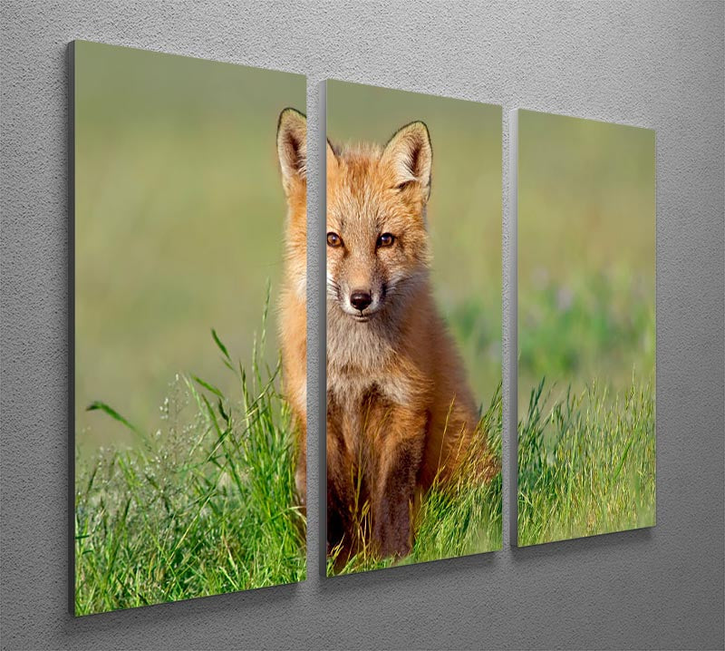 Fox Kit 3 Split Panel Canvas Print featuring three high-quality canvases with vibrant colors and intricate details, perfect for home decor.